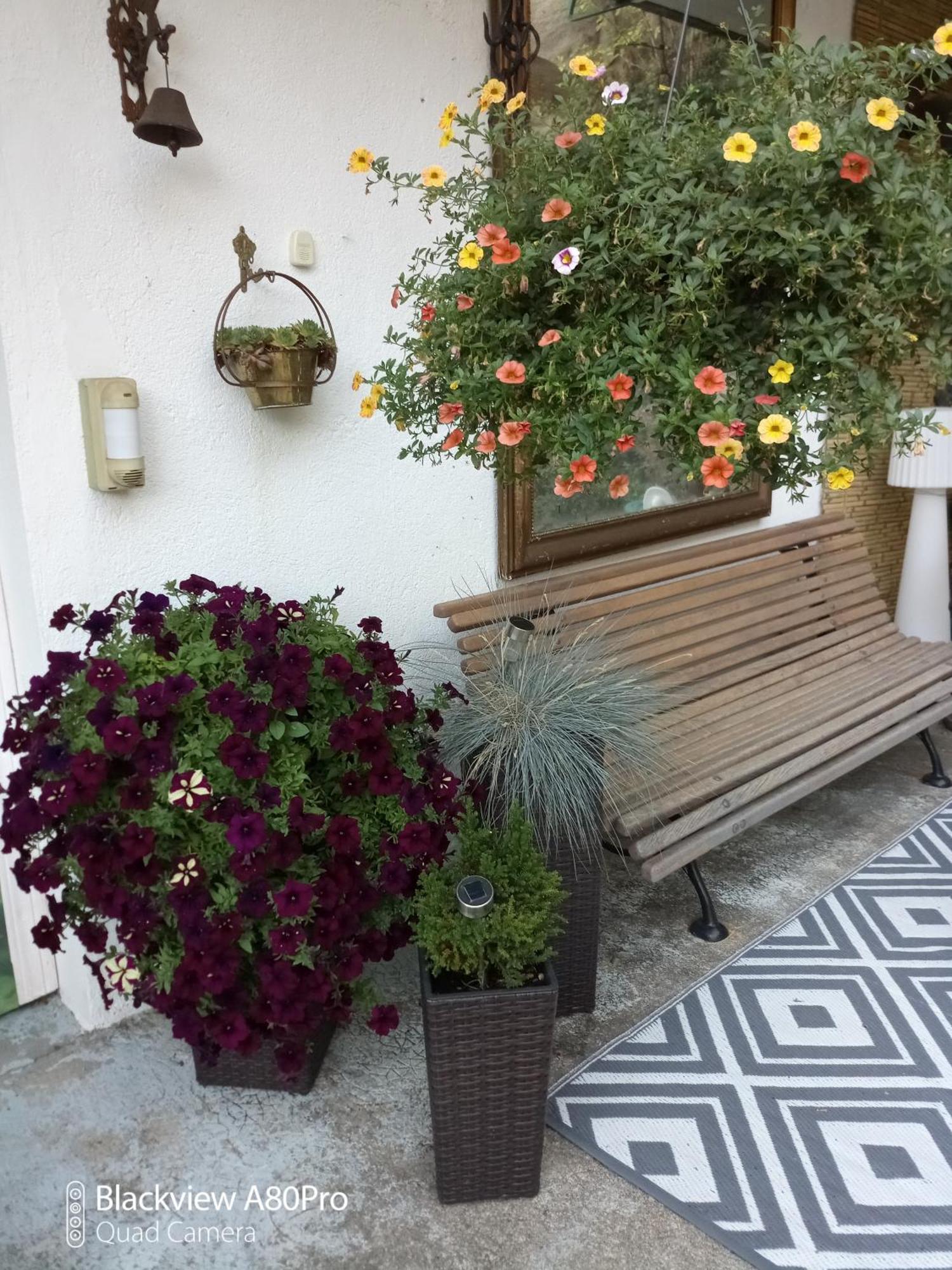Chambre Bounty, B&B, Cuisine Privee, Lit Queen Size, Terrasse, Parking, Garage Olliergues Exterior photo